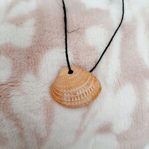 Perdido key shell necklace